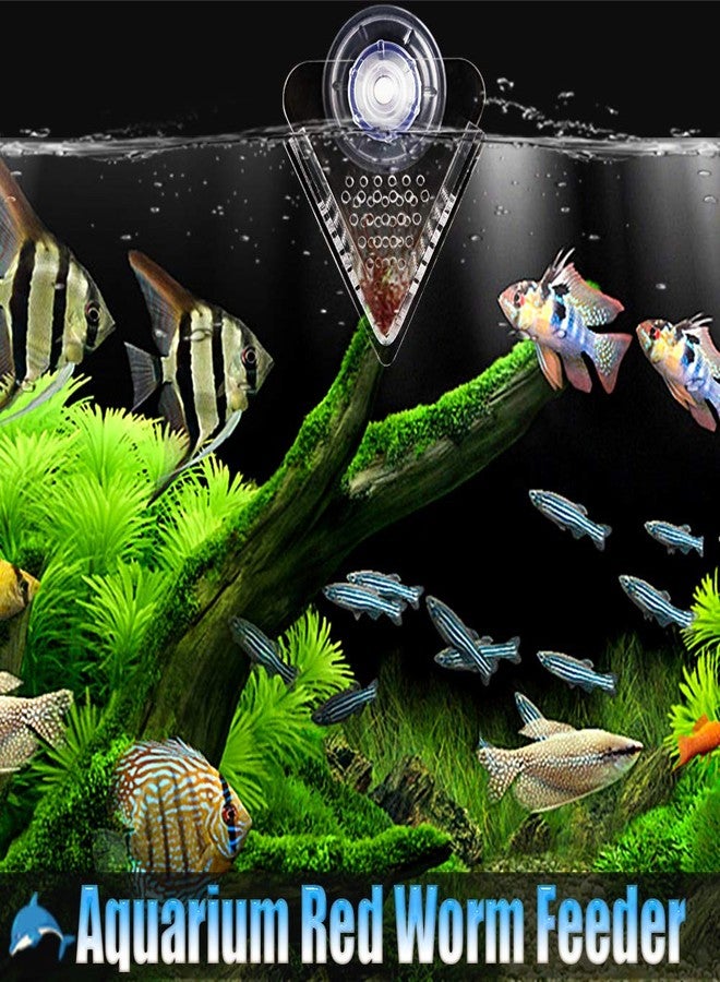 IAFVKAI Aquarium Cone Red Worm Feeder Acrylic V-Shape Automatic Fish Feeder Brine Shrimp Food Feeding Cup with Suction Cup - Image 5